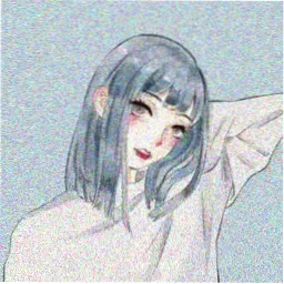读者阿禾头像